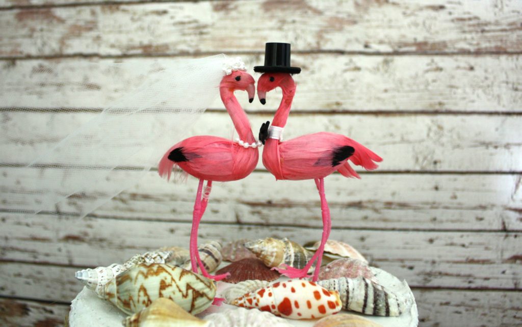 festa flamingo 17