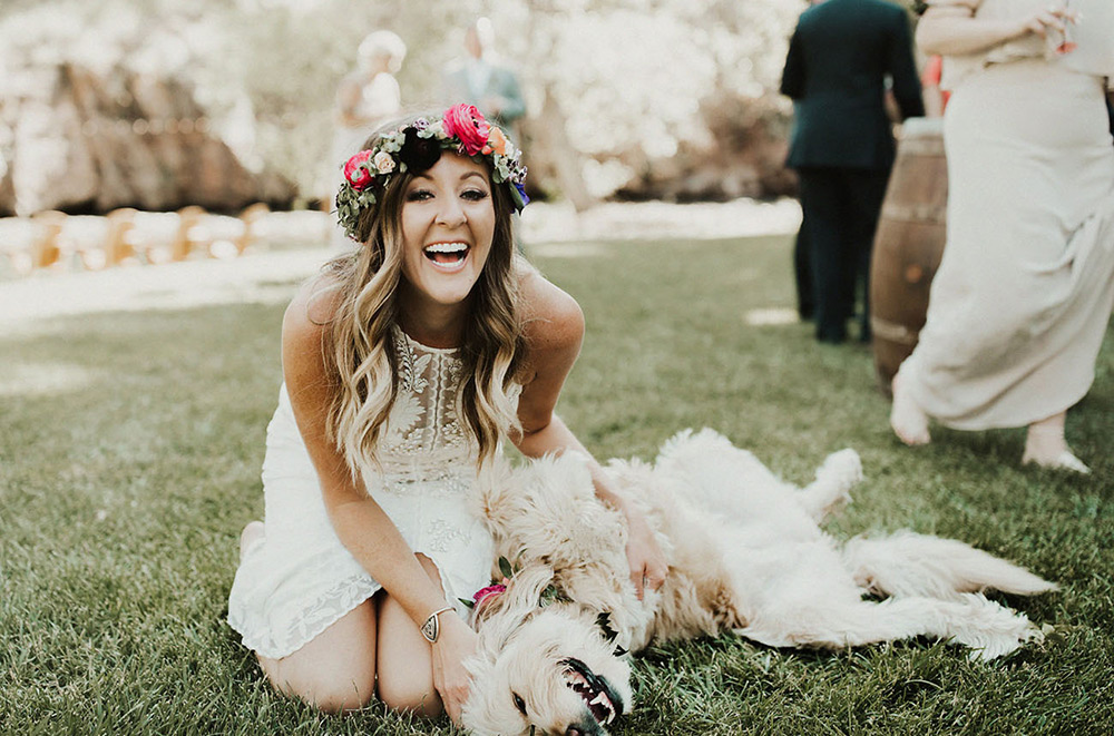 Pets no Casamento | Como incluir o cachorro no casamento | Noiva Ansiosa