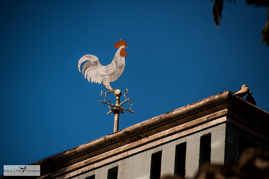 ev_renata_e_yuri_fotografia_fazenda_vila_rica-3