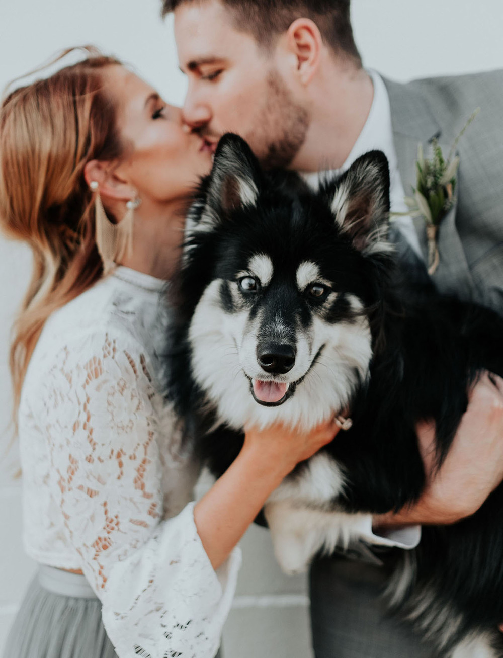 Pets no Casamento | Como incluir o cachorro no casamento | Noiva Ansiosa