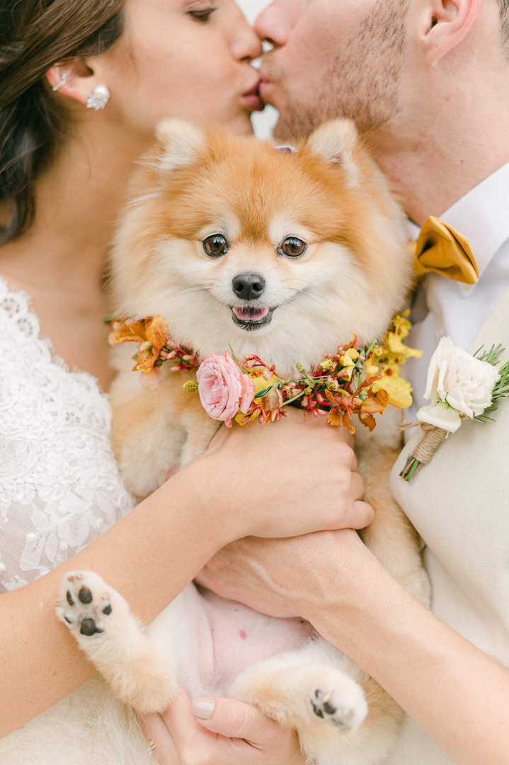 Mini wedding na Casinha Quintal | Casamento encantado de Marina e Luccas