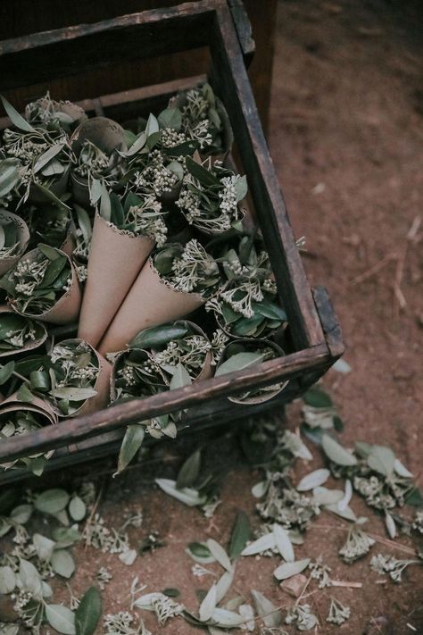 Casamento Sustentável | Ideias sustentáveis para substituir a chuva de arroz