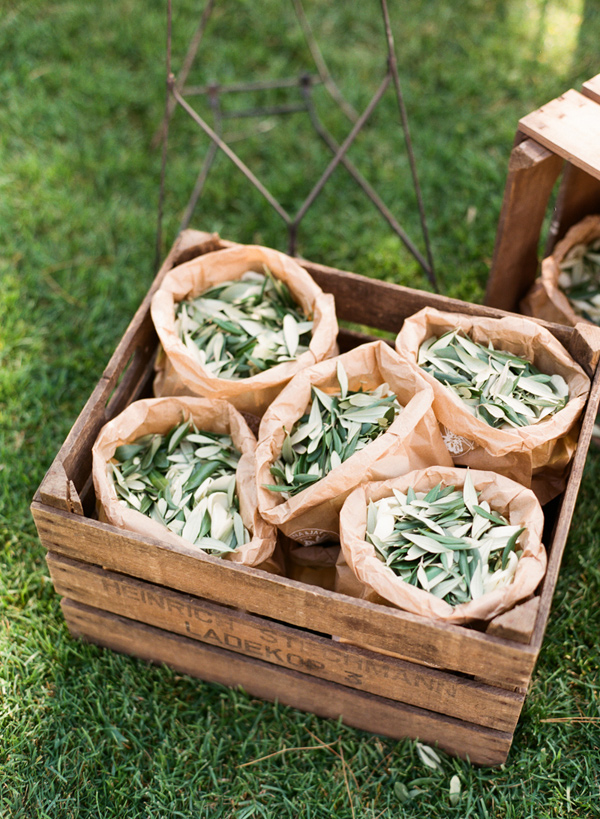 Casamento Sustentável | Ideias sustentáveis para substituir a chuva de arroz