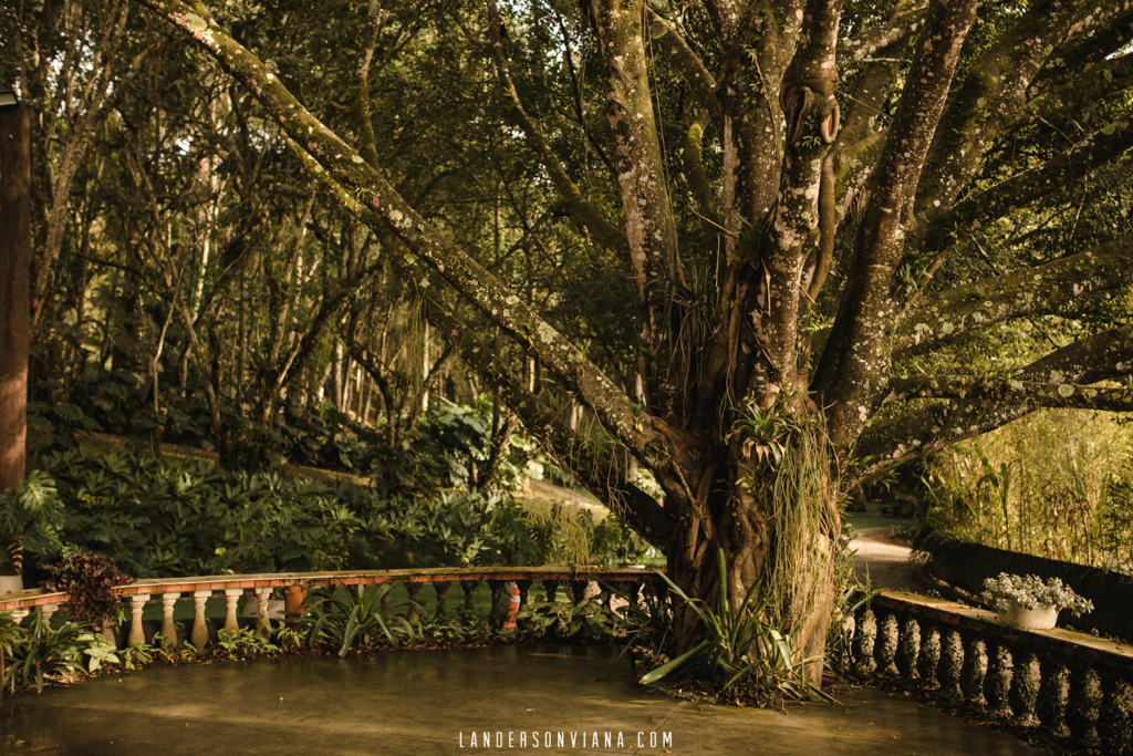 Editorial Bohemian Flow | Lívia e Neto na Casa Giardino