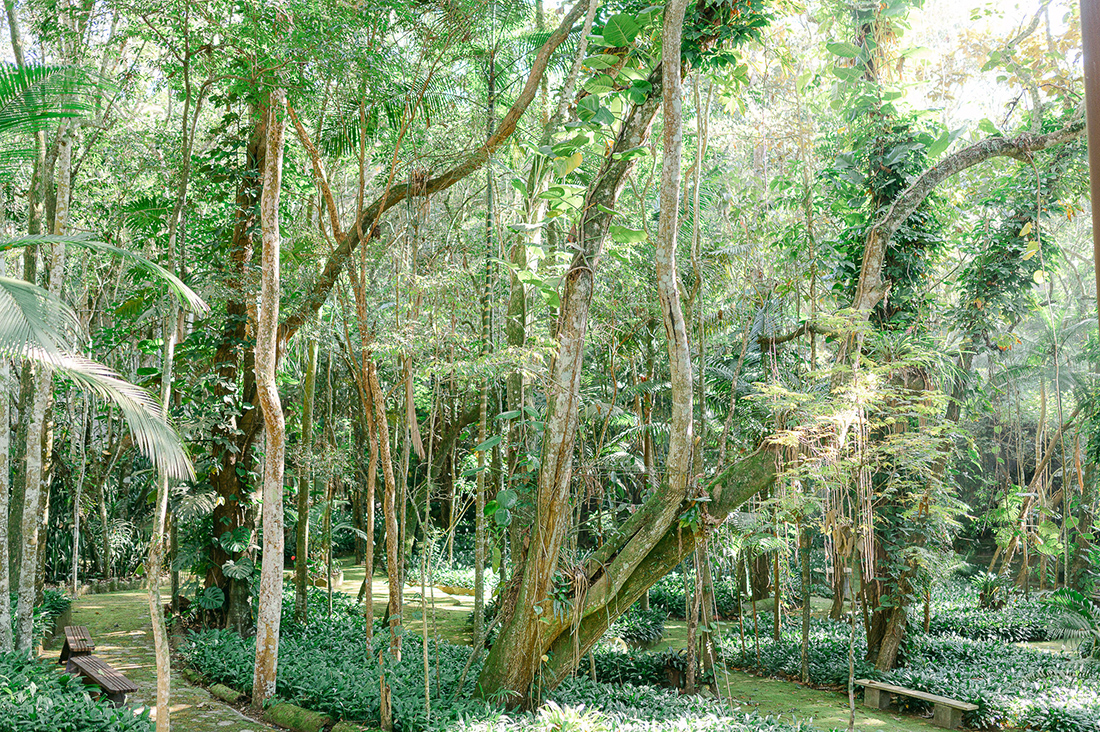 Casamentos na Casa Giardino: experiência e natureza