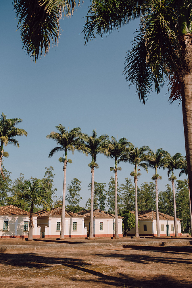 Bárbara e Fabiano | Micro wedding na fazenda, por Seiva Fotografia