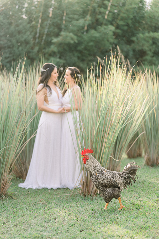 Editorial Elas | Elopement wedding na Fazenda Capela do Bosque