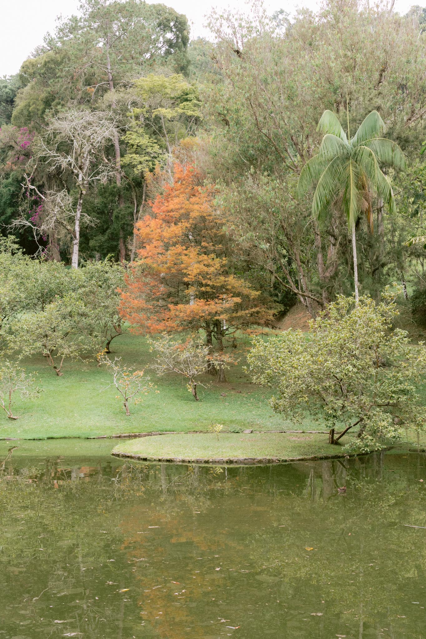 Isabeli e Vinicius | Casamento encantado na Fazenda 7 Lagoas, por Juliana Valim