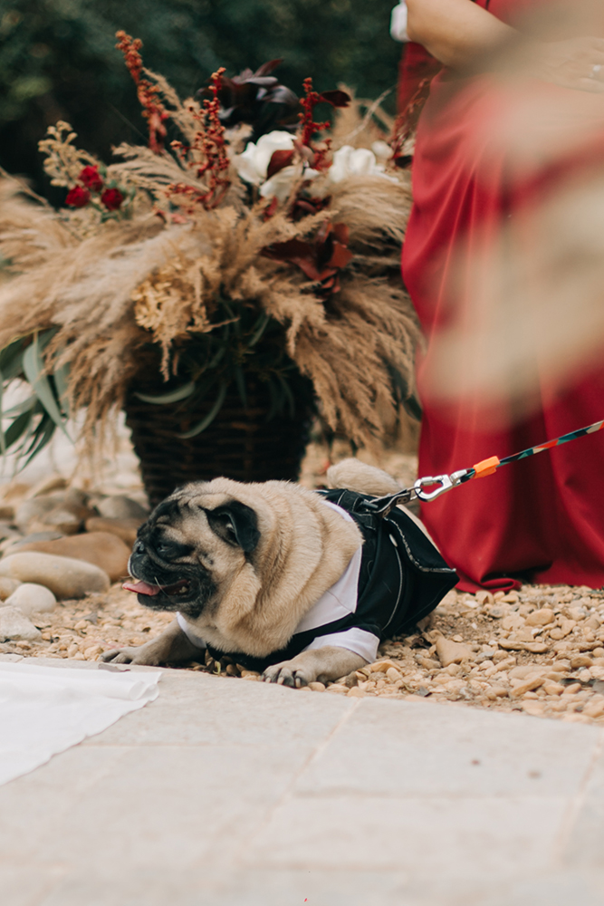 Ana Cláudia e Gustavo | Casamento boho com toque minimalista