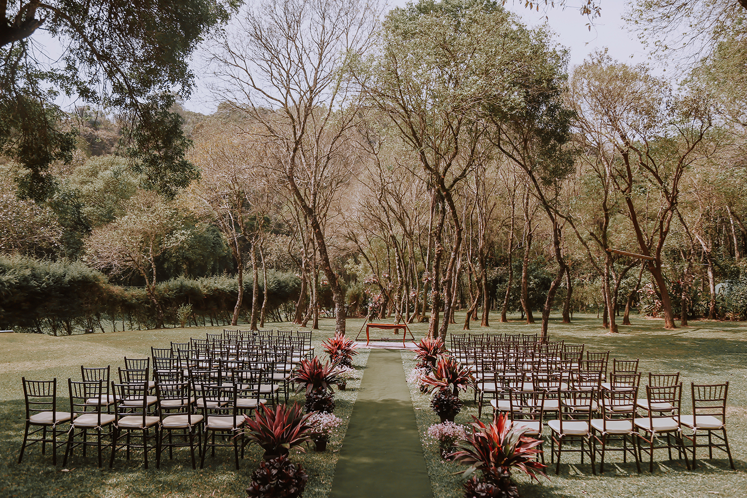 Flávia e Cauê | Mini wedding cercado de verde no Ravena Garden