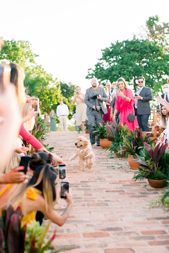 Wilson e Felipe | Casamento na Fazenda Embauva