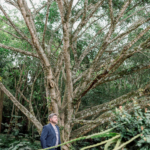 Flávia e Ivan - Renovação de votos na Casa Giardino