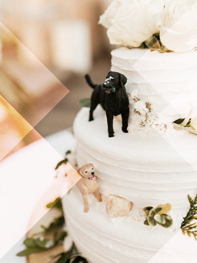 Bolos de Casamento Criativos - Noiva Ansiosa - Blog de casamento para  noivas, noivos e profissionais