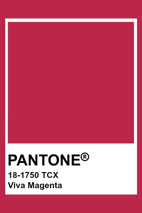 Viva Magenta | Como usar a cor Pantone 2023 no seu casamento