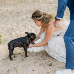 Casamento pé na areia na Casa de Canoa - Noiva de praia com pet no casamento
