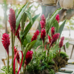 Casamento pé na areia na Casa de Canoa - Decoração de Casamento na praia