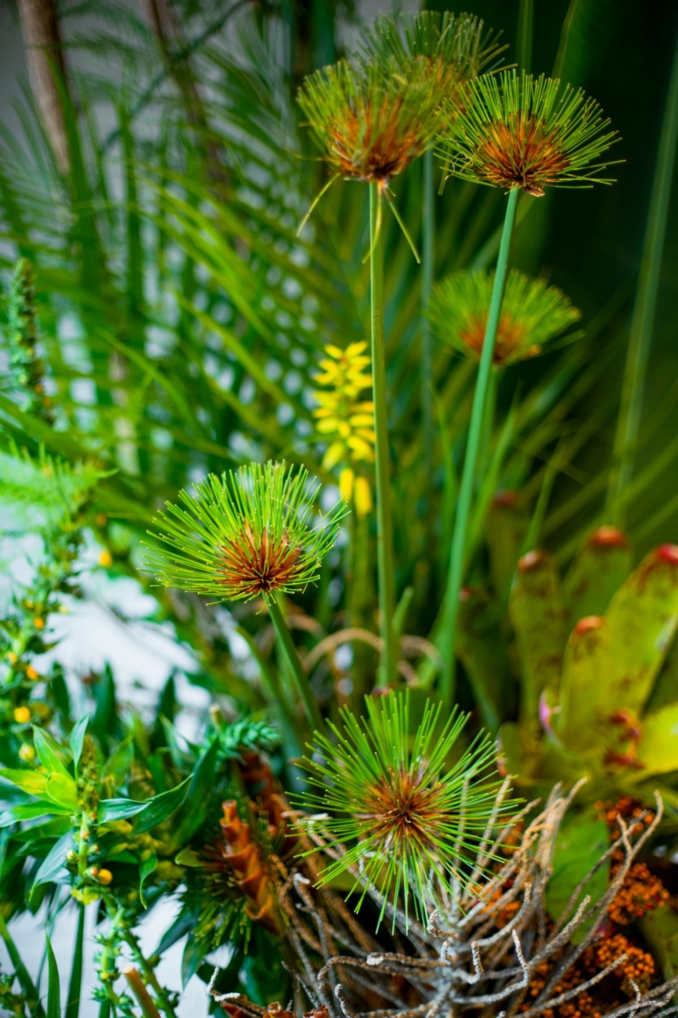 Florée Decor | Decoração com toques de brasilidade na Casa Bovero