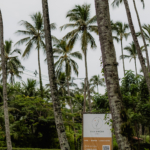 Vila Siriuba - Casamento na praia