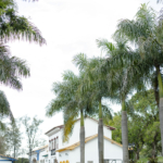 Amora Photo na Quinta das Amoreiras