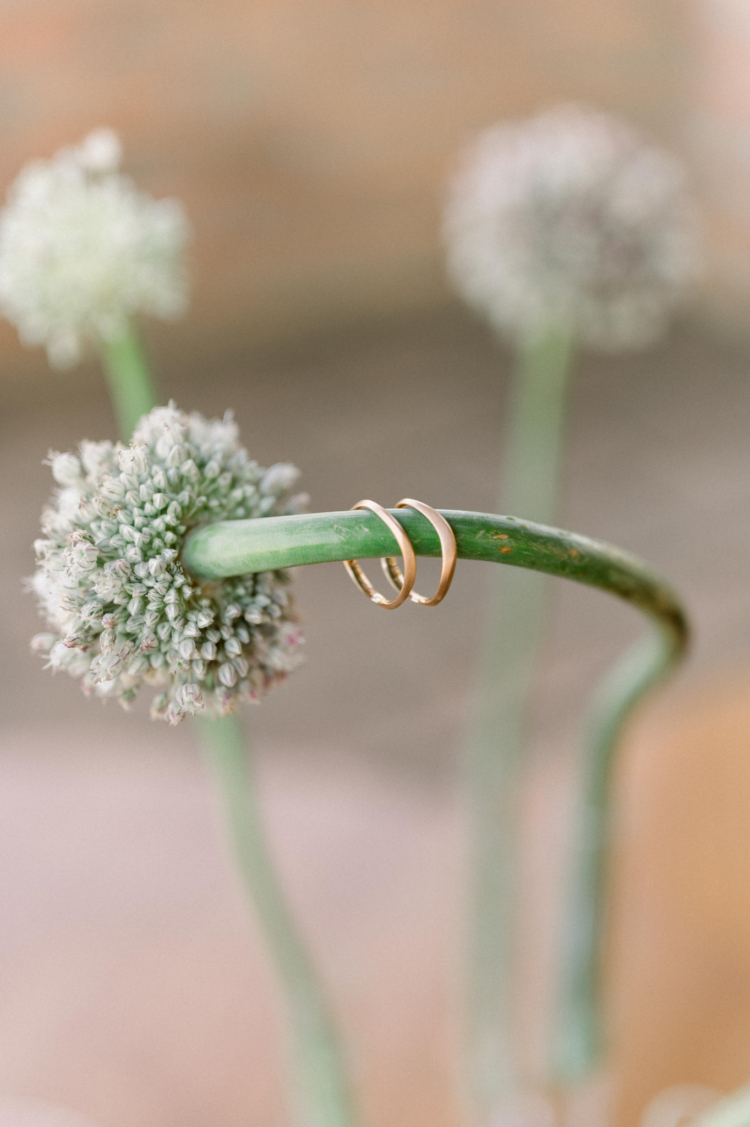 Allan e Danilo | Casamento minimalista na Fazenda Paraizo