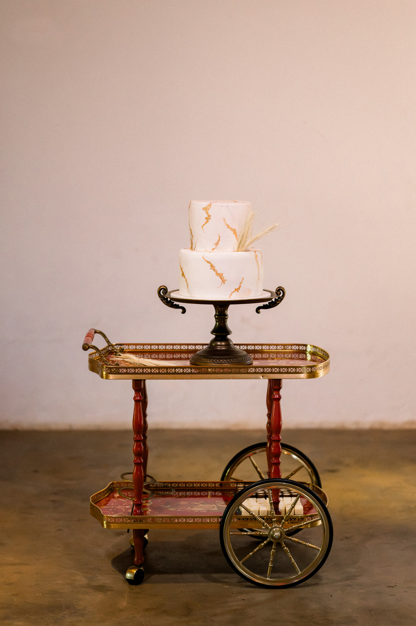 Allan e Danilo | Casamento minimalista na Fazenda Paraizo