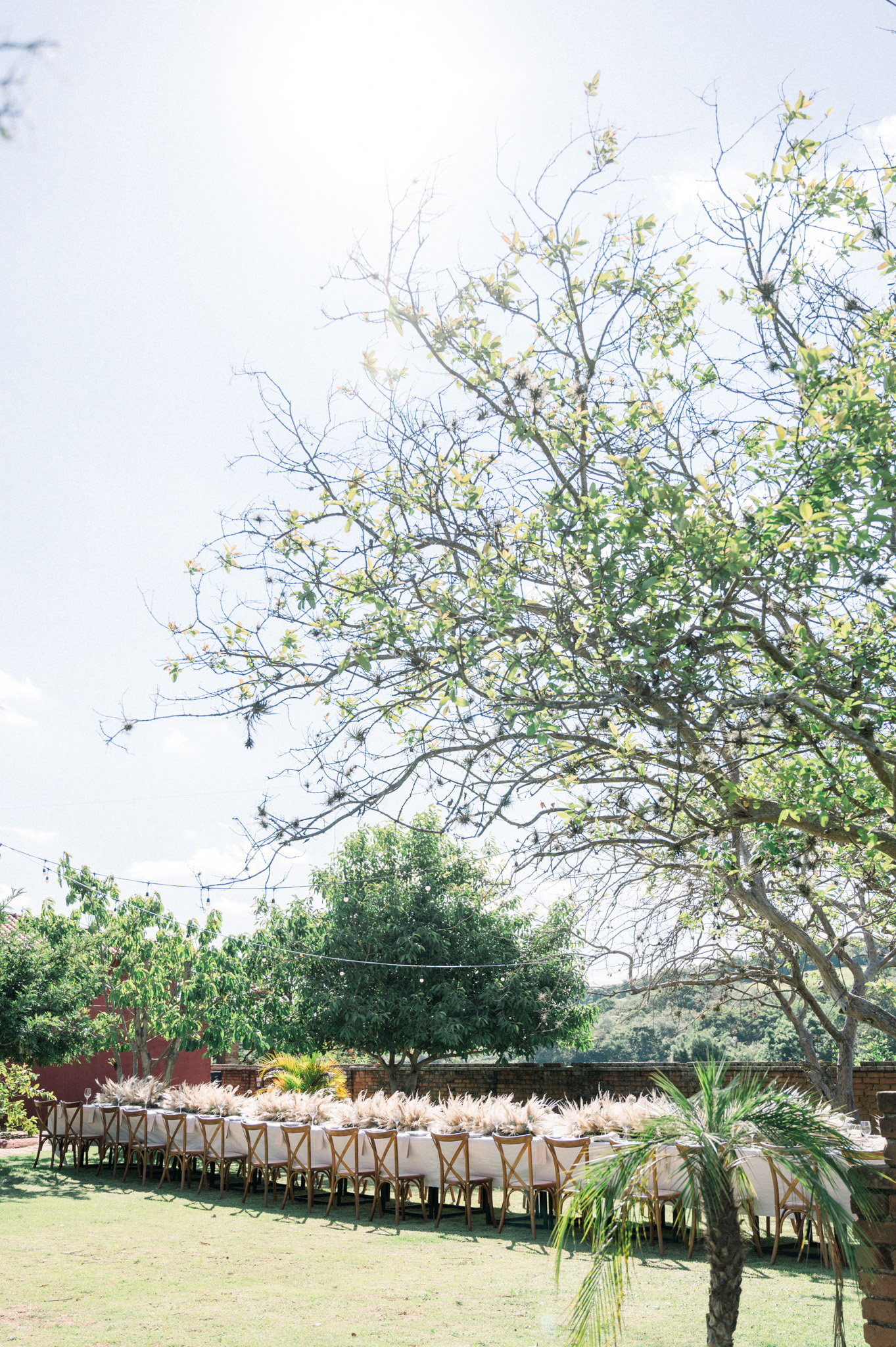 Allan e Danilo | Casamento minimalista na Fazenda Paraizo