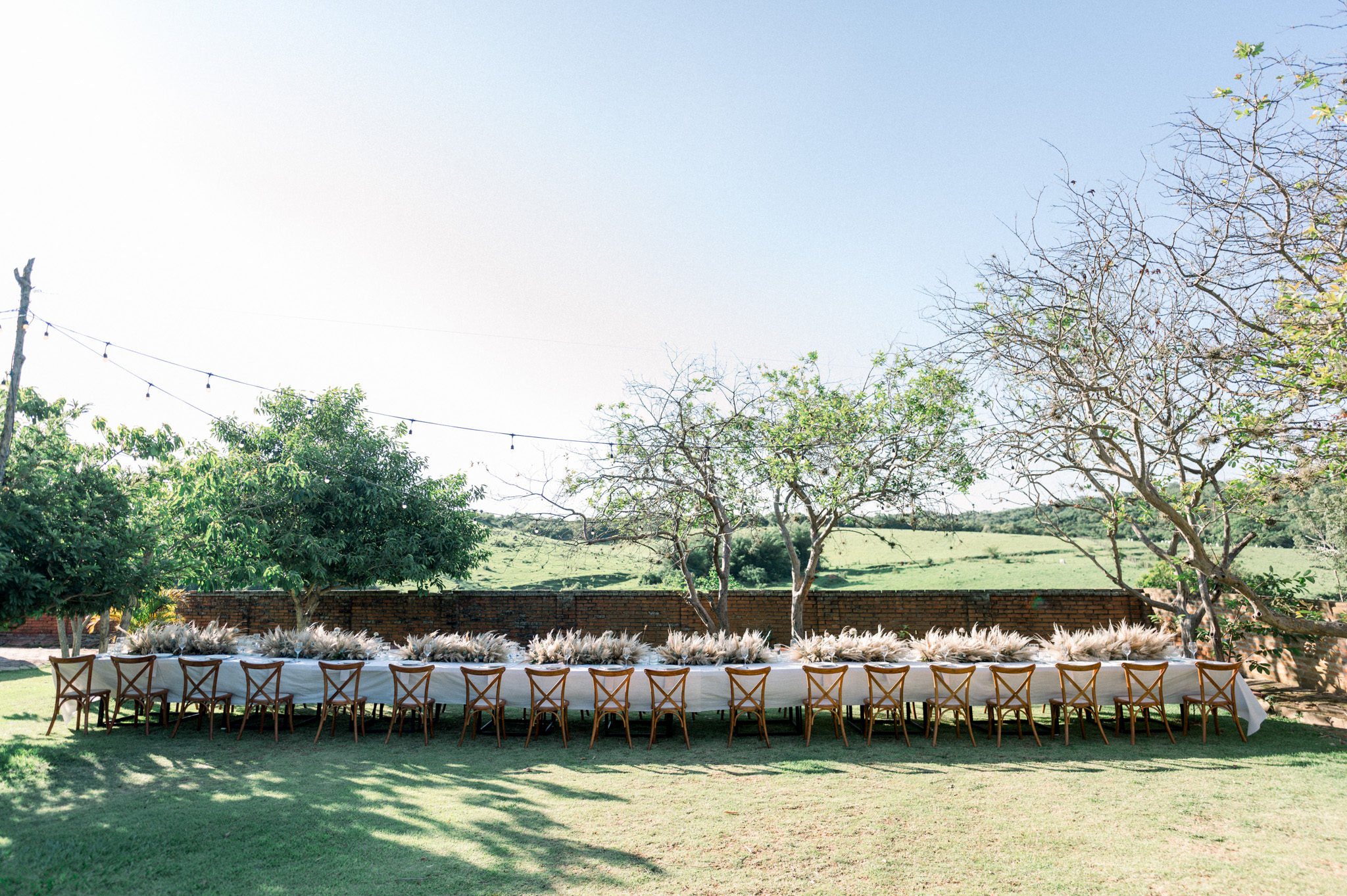 Allan e Danilo | Casamento minimalista na Fazenda Paraizo
