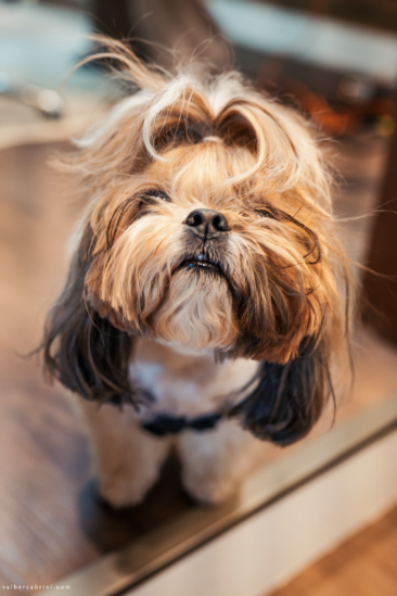 Camila e Renato - Casamento colorido no campo por Tatiane Albini 02