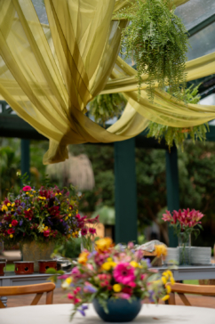 Festa da Firma do Noiva Ansiosa 2026