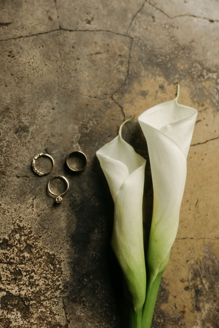 Material, estilo e muito mais: o que você precisa saber sobre aliança de casamento
